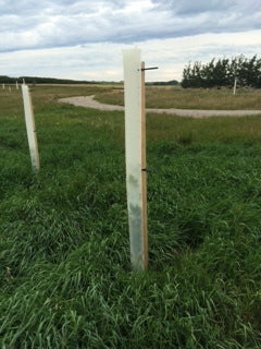 Canadian Customer has wildly successful planting