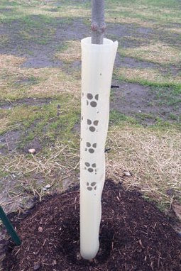 Tree Pro Bark Protector with 1" diameter holes to allow more sunlight and air flow when you are just trying to protect against Deer rub.