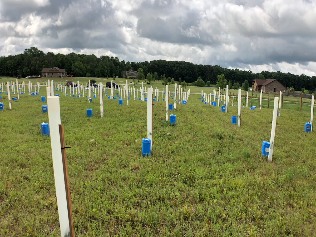 Tree Pru Tree Grow Tube Accessories – Tree Pro