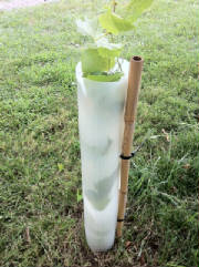 Vine Pro Vineyard Grow Tube