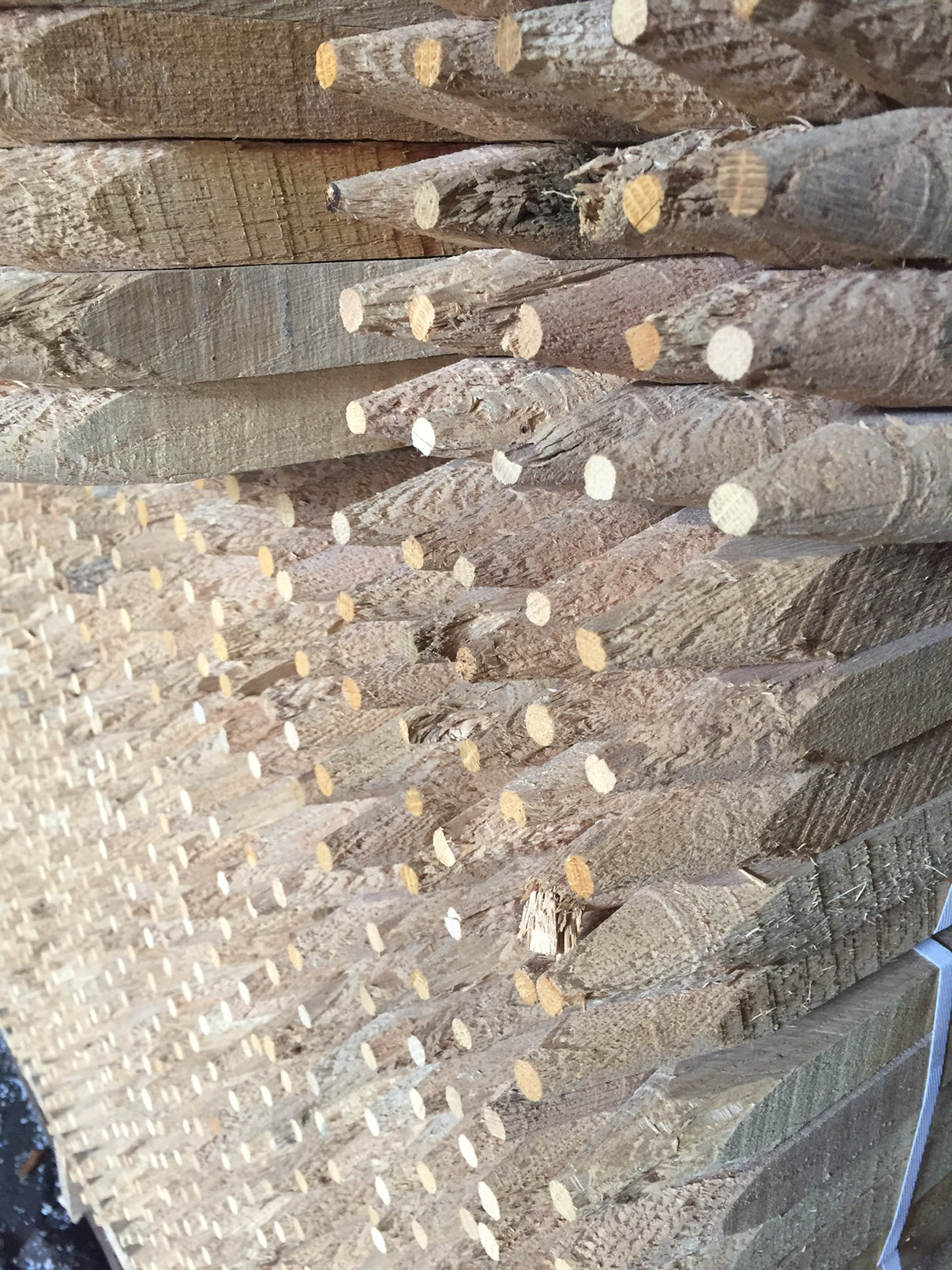 Tree Support Stake White oak Tree Stake Treated Pine Stake Tree Pro