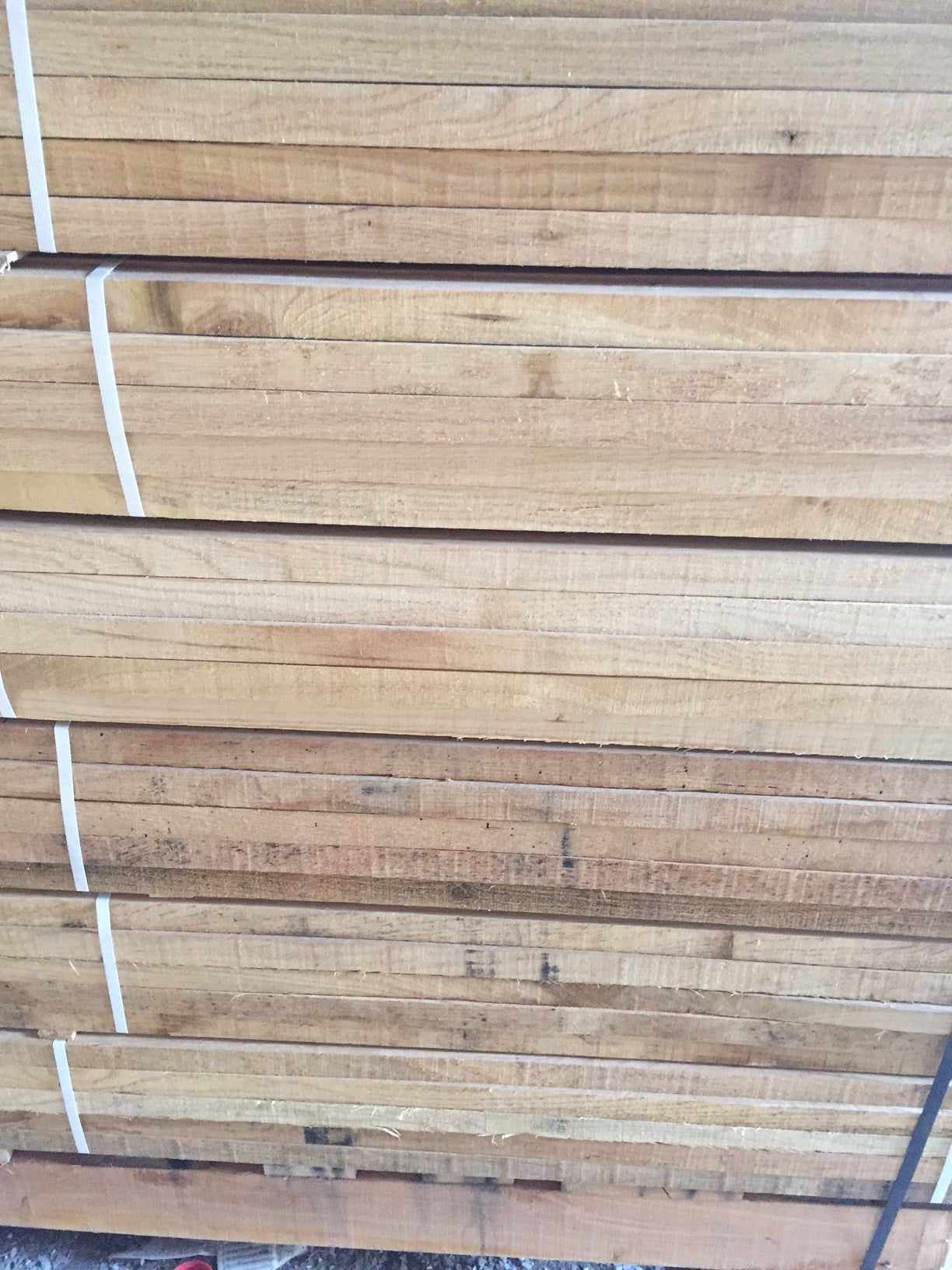 Bundles of 1"x1" White Oak Tree Support Stakes